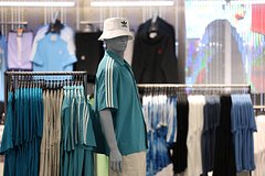 8833b635f8b5708ba784ffe9d17a5cb5.jpg