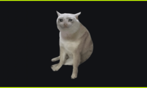 1a4ad25424cbeb39c43e2a2822b1094e.png